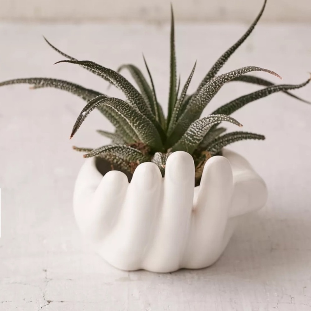 Urban Outfitters Hand dish 🪴